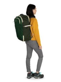 Osprey Daylite Carry-On Travel Pack 44L -Travel Bag Store 7cc935 e73a879860694719929fd9b43428315amv2